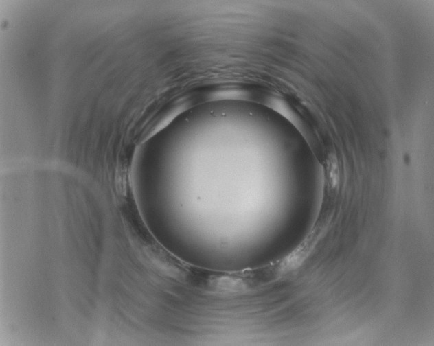 X0000073710180200608031249