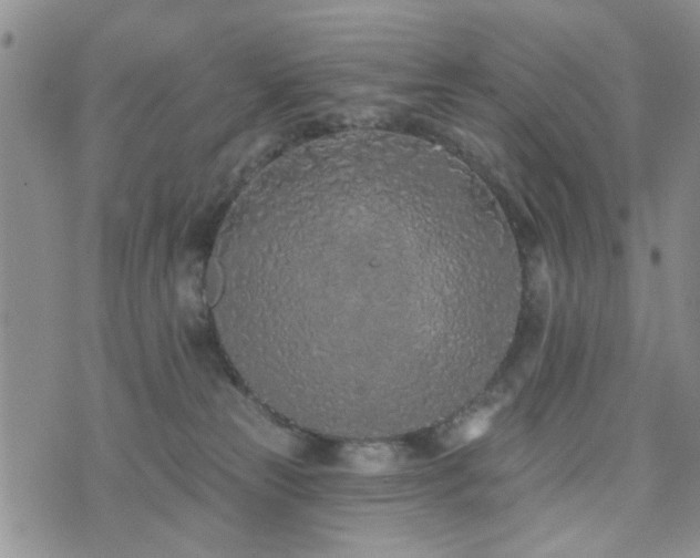 X0000073710181200608031249