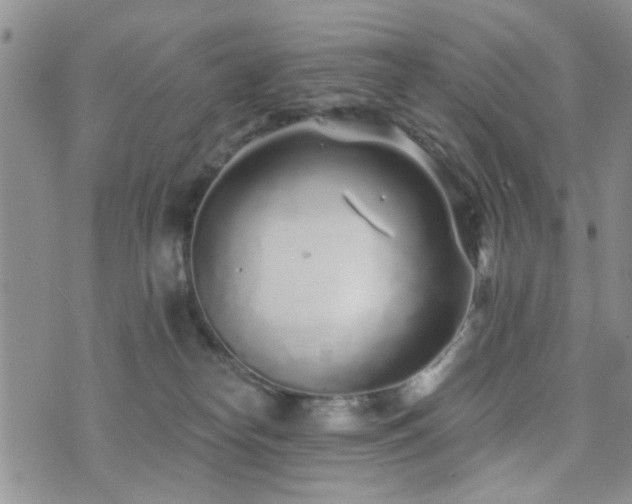 X0000073710182200608031249