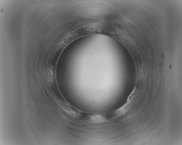 X0000073710183200608031249