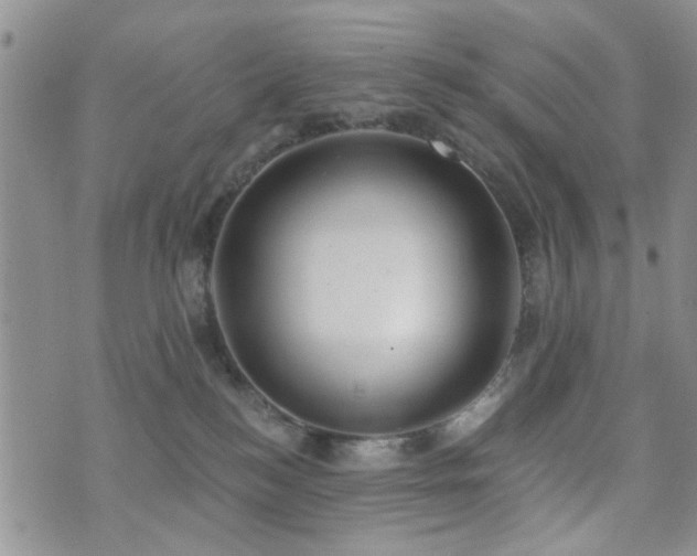 X0000073710184200608031249