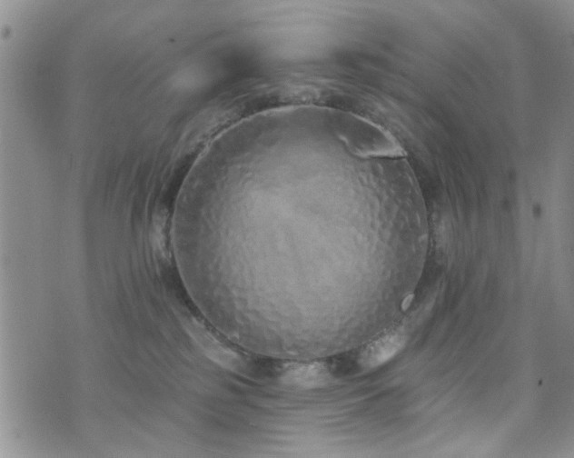 X0000073710185200608031249