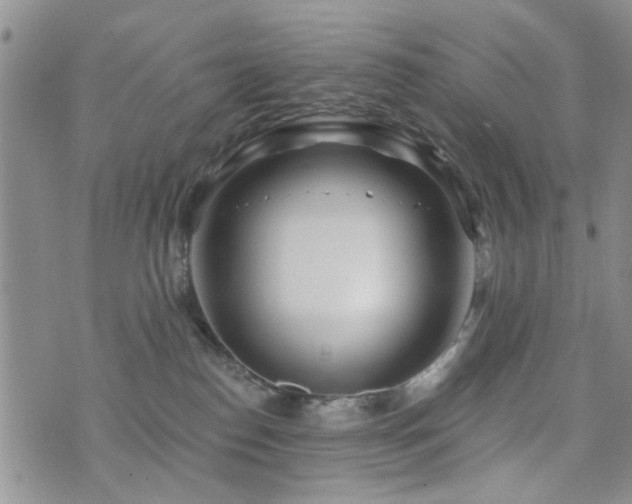 X0000073710186200608031249