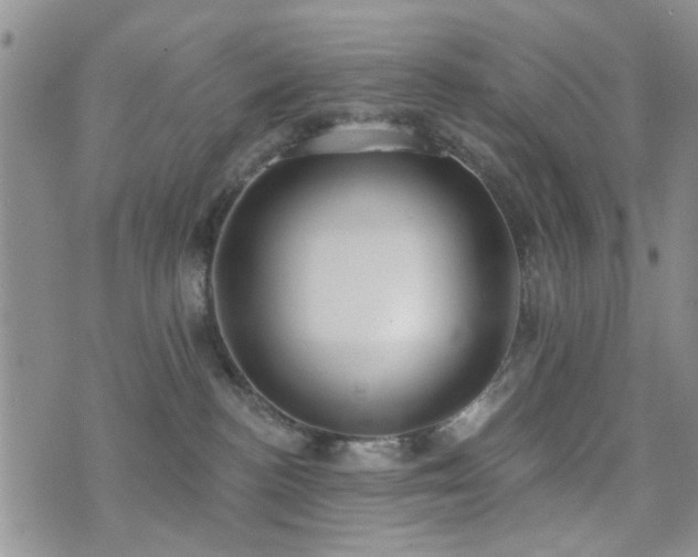 X0000073710188200608031249