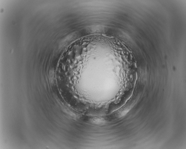 X0000073710189200608031249