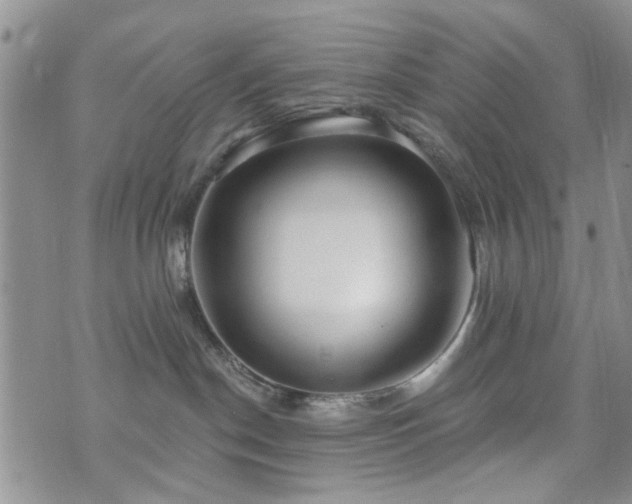 X0000073710190200608031249