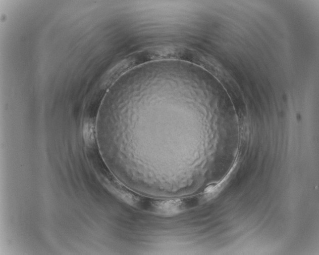 X0000073710191200608031249