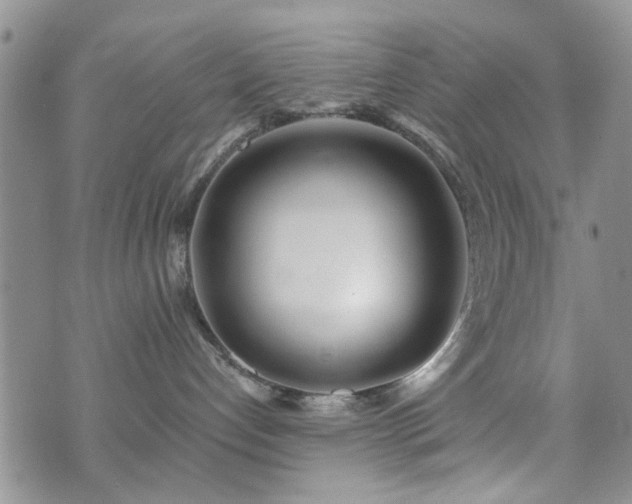 X0000073710192200608031249