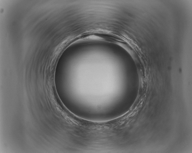 X0000073710193200608031248