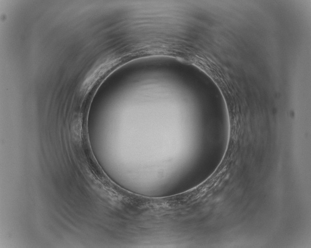 X0000073710194200608031248