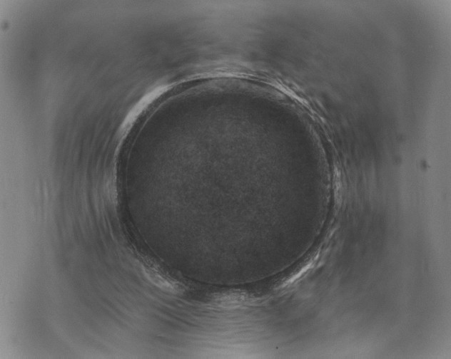 X0000073710200200608031248