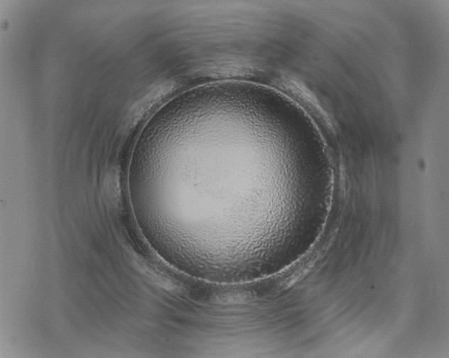 X0000073710202200608031248