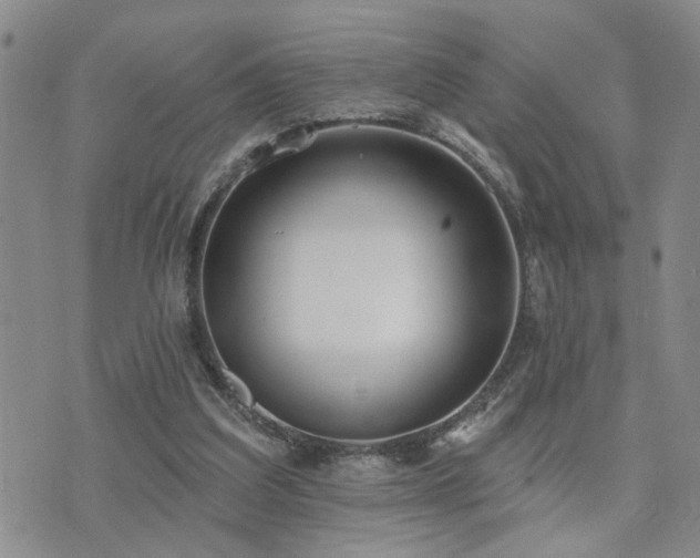 X0000073710203200608031248