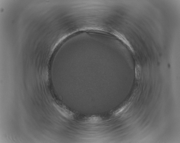 X0000073710204200608031248