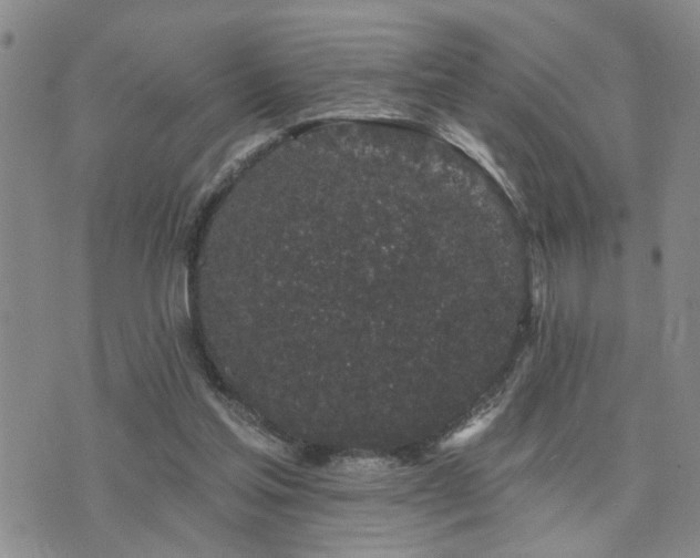 X0000073710205200608031248