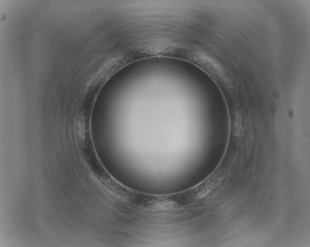 X0000073710210200608031248