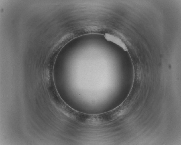 X0000073710211200608031248