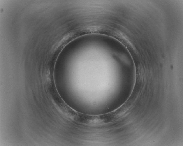 X0000073710212200608031248