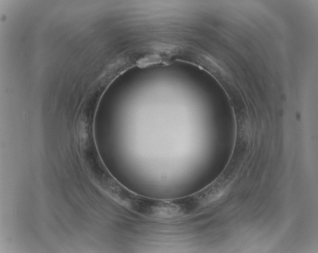 X0000073710215200608031248