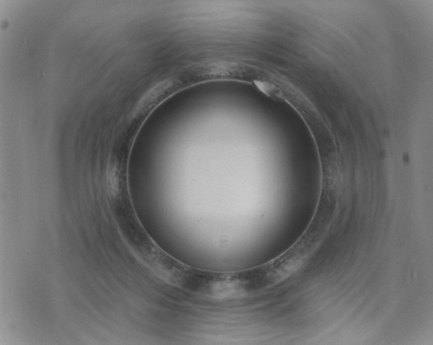 X0000073710216200608031248