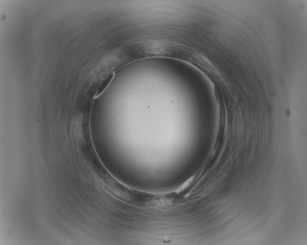 X0000073710217200608031248