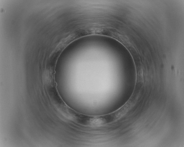 X0000073710218200608031248