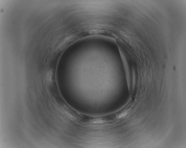 X0000073710219200608031248