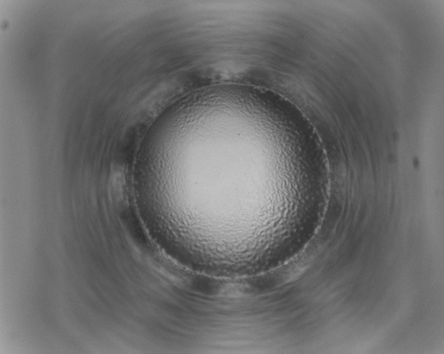 X0000073710222200608031247