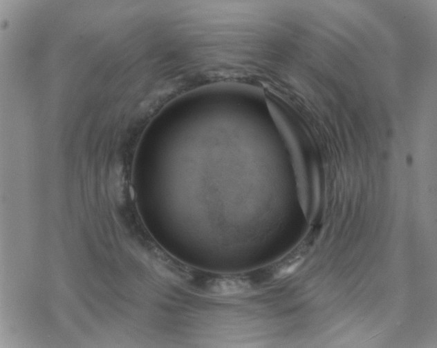 X0000073710223200608031247