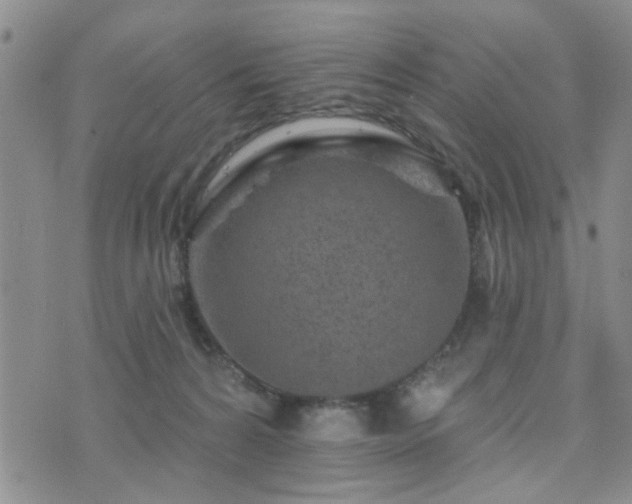 X0000073710224200608031247