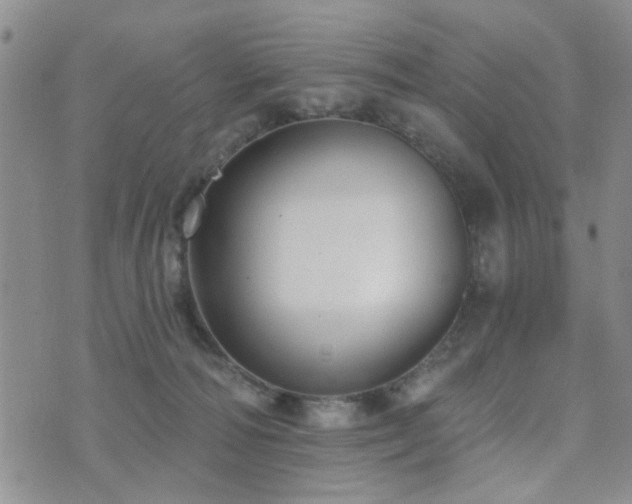 X0000073710226200608031247