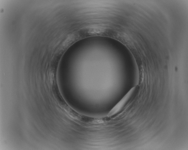 X0000073710227200608031247