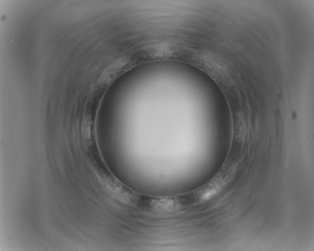 X0000073710230200608031247