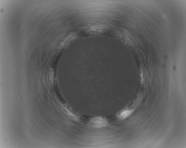 X0000073710231200608031247