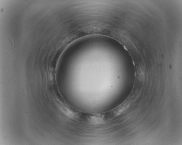 X0000073710232200608031247