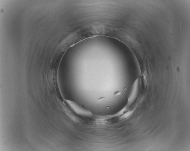 X0000073710233200608031247