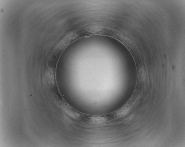 X0000073710234200608031247