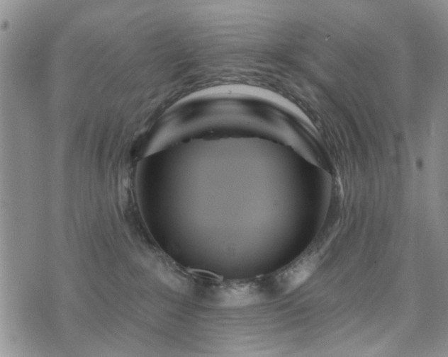 X0000073710235200608031247