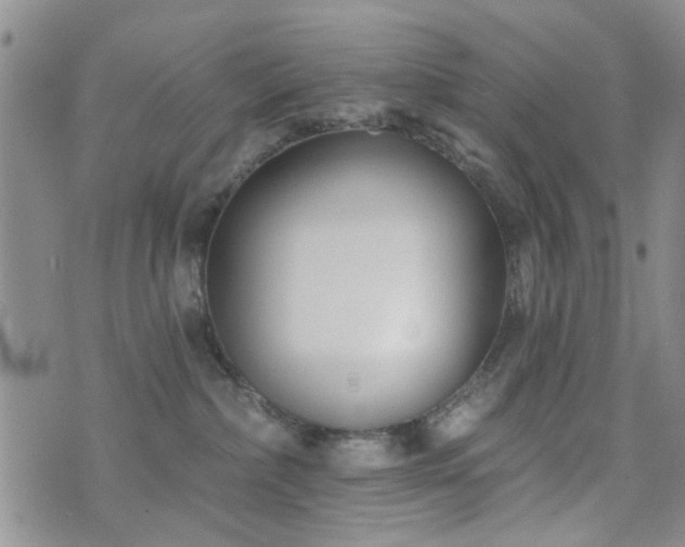 X0000073710236200608031247