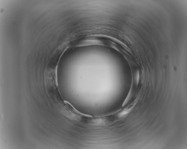 X0000073710237200608031247