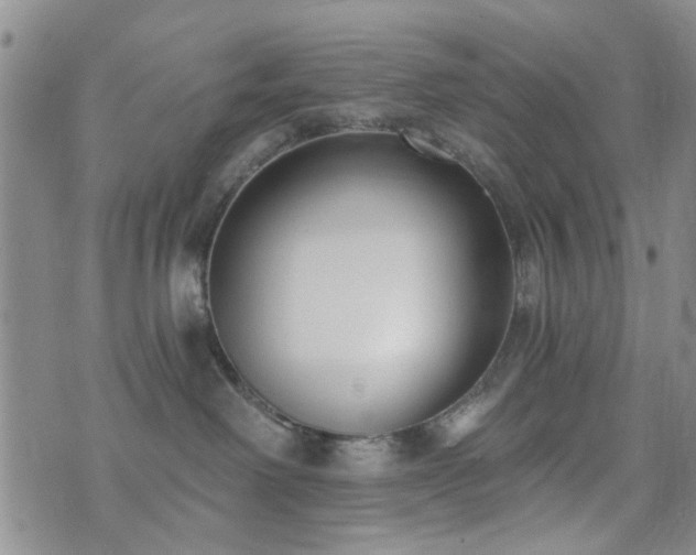 X0000073710238200608031247