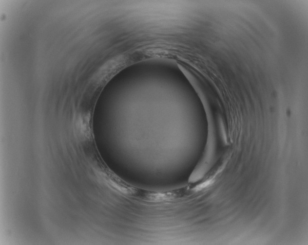 X0000073710239200608031247