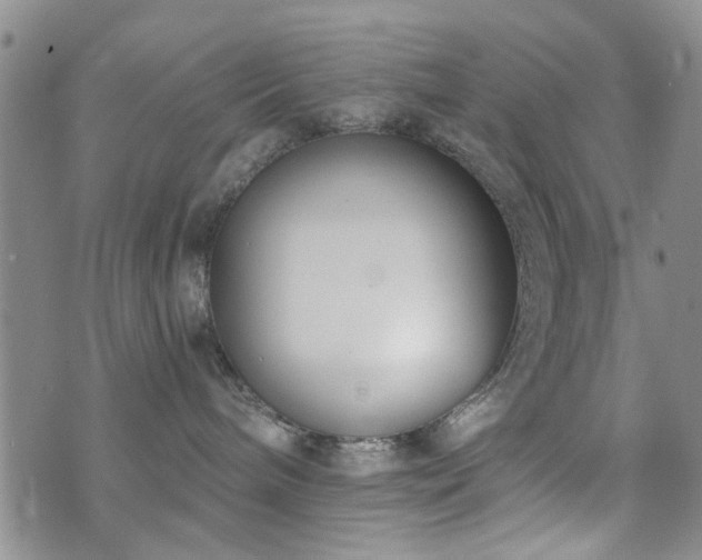 X0000073710240200608031247