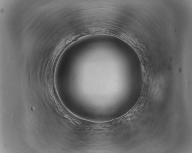 X0000073710241200608031246