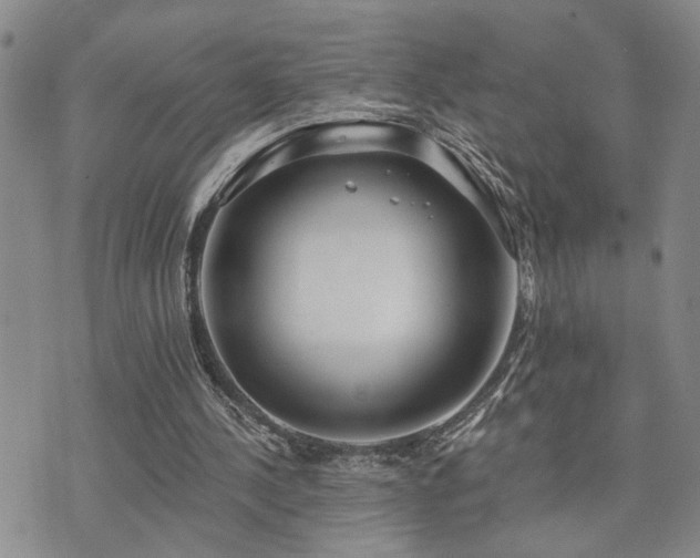 X0000073710244200608031246