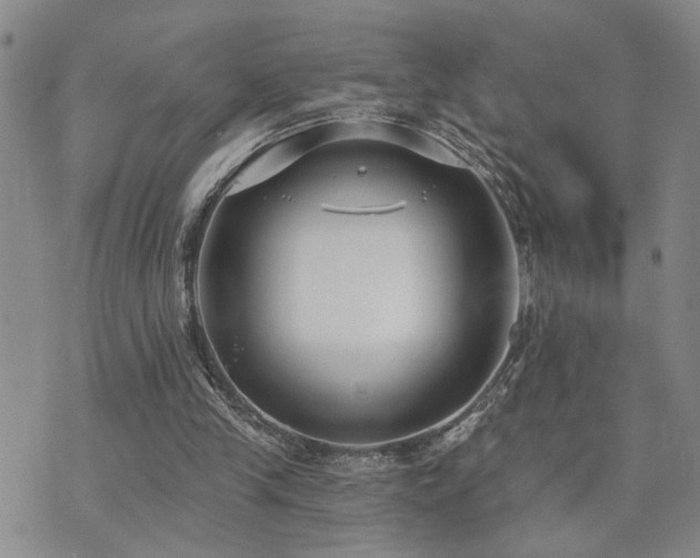 X0000073710245200608031246