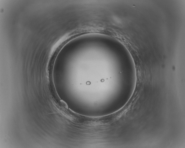 X0000073710246200608031246