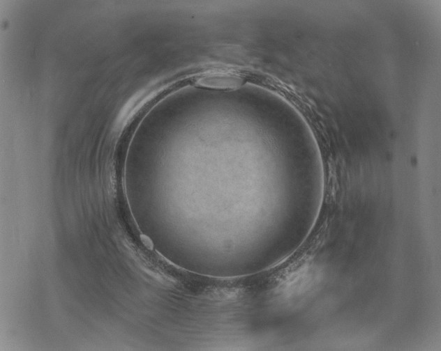 X0000073710247200608031247