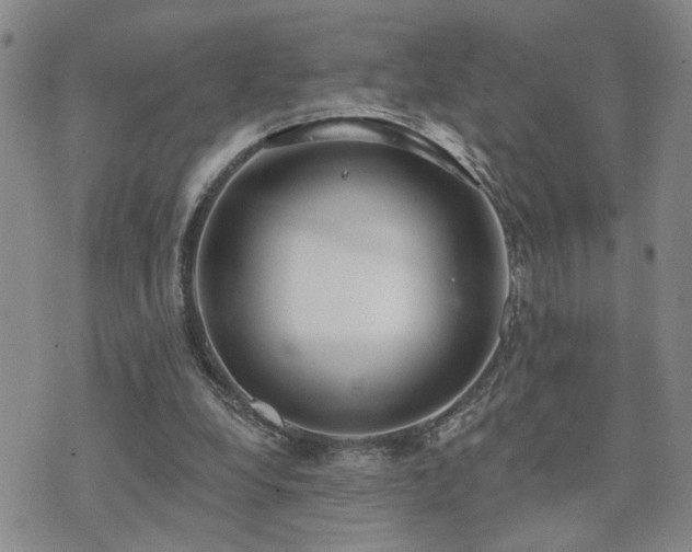 X0000073710248200608031247