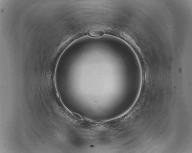 X0000073710249200608031247